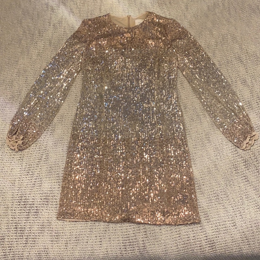BHLDN Sequined Dress (Size 6)